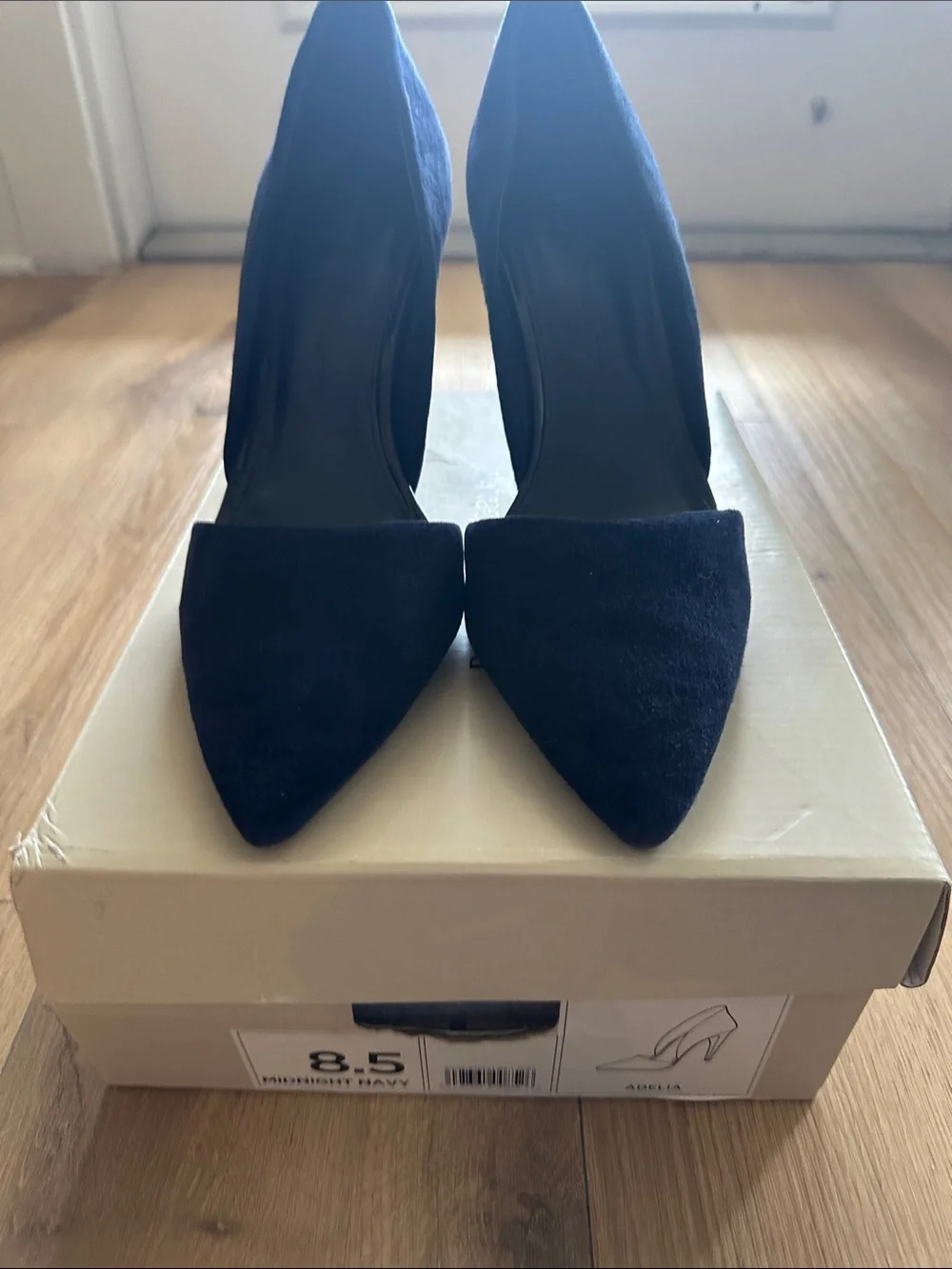 Banana Republic Pointed Toe Pumps in Navy